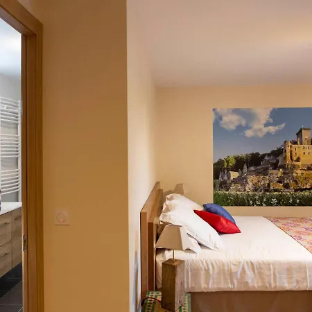 Prázdninový dům Gite Avec Piscine Privee Chauffee, 4 Chambres, Vue Sur Le Chateau - Fr-1-616-1